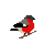 Bird Robin Sticker by Hunter