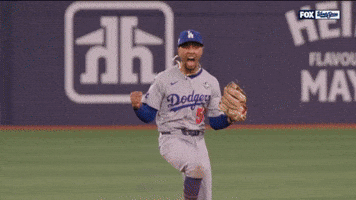 Celebrate World Series GIF by MLB