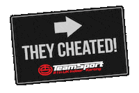 Sport Team Sticker by TeamSport Indoor Karting