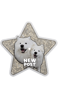 Video New Post Sticker