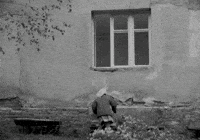Film Window GIF