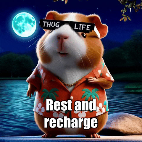 Rest Manifestation GIF by Guinea Gambino