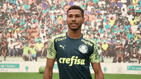 Wesley Avanti GIF by SE Palmeiras