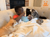 Best Friends Popcorn GIF by Best Friends Animal Society