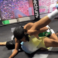 Wwe Wrestle GIF