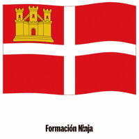 Castilla-La Mancha Flag GIF by Formación Ninja