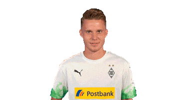 Nico Elvedi Bundesliga Sticker by Borussia Mönchengladbach