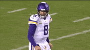 GIF by Minnesota Vikings
