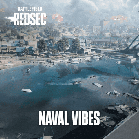 Battle Royale Vibes GIF by Battlefield