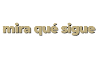 arrow sigue Sticker by Academia Creactiva