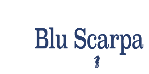 Seahorse Sticker by Blu Scarpa