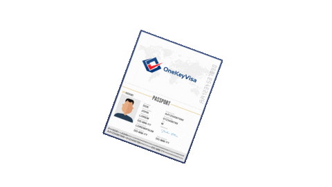 Usa Passport Sticker by onekeyvisa