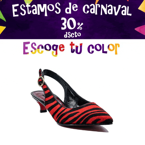 Carnavalsenza GIF by Senza Shoes & Bags by Design