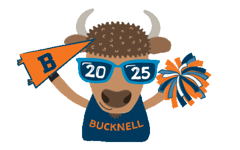 Fun Celebration Sticker by Bucknell University