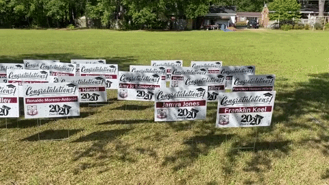 MWillson giphygifmaker GIF