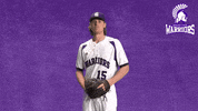 Baseball Warriors GIF by WinonaStateATH