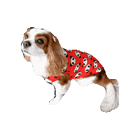 Happy Dogs Sticker