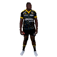 Sport Celebration Sticker by Stade Rochelais