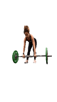wolfsgym fitness clean squat barbell Sticker