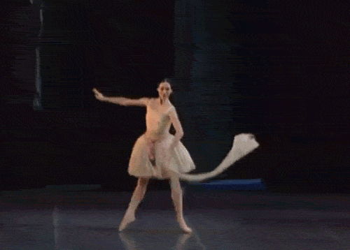 dance ballet GIF