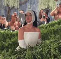 Katy Perry Stan Twitter GIF