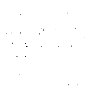 Rudern Aviron Sticker by worldrowing