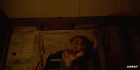 New Zealand Missy GIF by ARRAY
