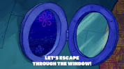 season 9 GIF by SpongeBob SquarePants