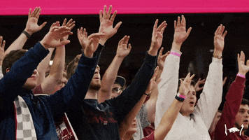 arkansasrazorbacks sports sport basketball college basketball GIF