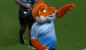 Womens Soccer Fox GIF by National Women's Soccer League