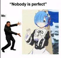 Nobody Is Perfect Rem GIF