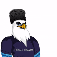PeaceEagleNFT party sorry lfg lets do this GIF