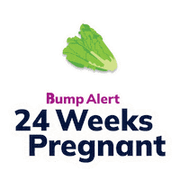 Pregnancy Expecting Sticker by The Bump