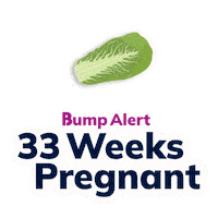 Pregnancy Expecting Sticker by The Bump