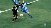 Tsg 1899 Wow GIF by Bundesliga