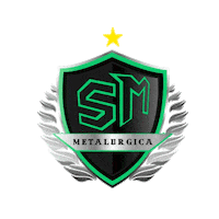 Sticker by Liga Metropolitana de Futsal