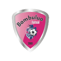 Sticker by Liga Metropolitana de Futsal