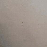 animation art GIF by Evan Hilton