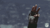 celebrate super bowl GIF by NFL