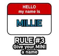 Cooper Names Sticker by MINI USA