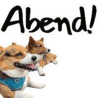 German Corgi Sticker