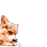 Dog Check Sticker