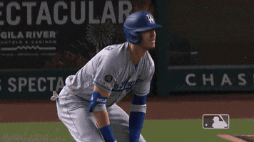 major league baseball sport GIF by MLB