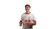 Red Bull Rbl Sticker by RB Leipzig