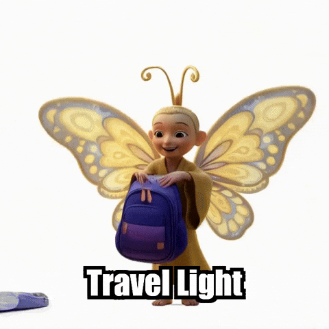Travel Adventure GIF by BuddhaFlyJourney