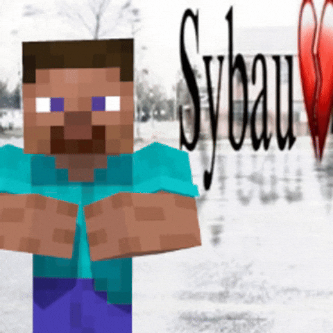 Steve GIF