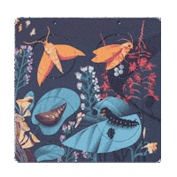 Nocni Zivot Sticker by pipasik