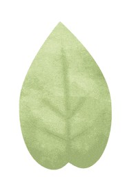Adventure Leaves Sticker by tinagus