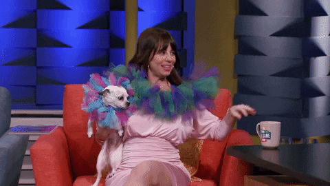 episode128tsgs GIF by truTV’s Talk Show the Game Show