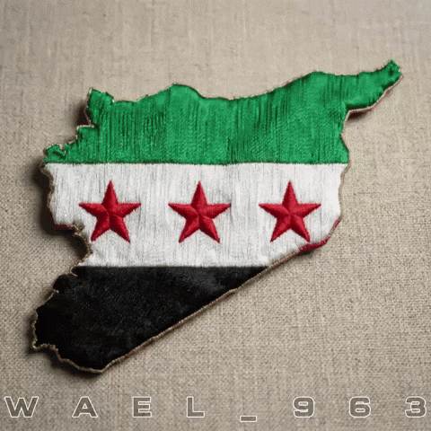 Syria Wael GIF